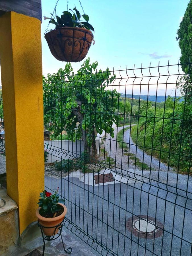Casa Villanova Homes Nova Vas nad Dragonjo Екстер'єр фото